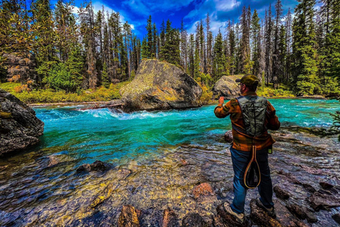 Lac Moraine, lac Emerald, lac Louise, visite en bus de Banff