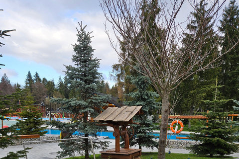 Zakopane: Tatra Mountains Tour with Tank Paintball & Cheese
