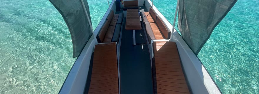 Snorkeling à Kizimkazi et visite des bancs de sable (visite d'une jounée)