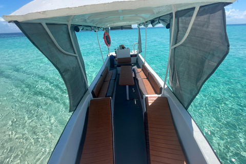 Nurkowanie z rurką w Kizimkazi i wycieczka na piaszczystą łachę (cały dzień)