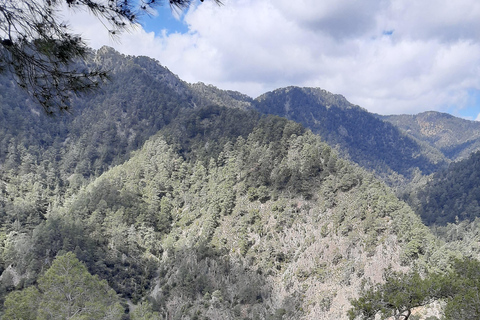 Paphos Cyprus Troodos Jeep safari em inglês em francês também