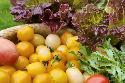 From Garden to Table: Guilin Farm & Family Meal Experience Guide for Chinese or English