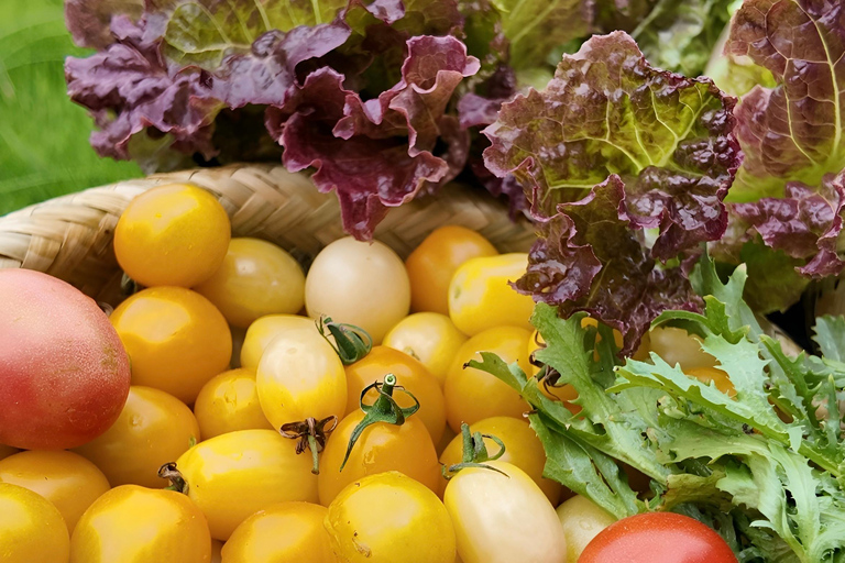 From Garden to Table: Guilin Farm & Family Meal Experience Guide for Chinese or English