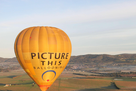 Yarra Valley: Upplevelse i luftballong med frukostYarra Valley: Varmluftsballongupplevelse med frukost