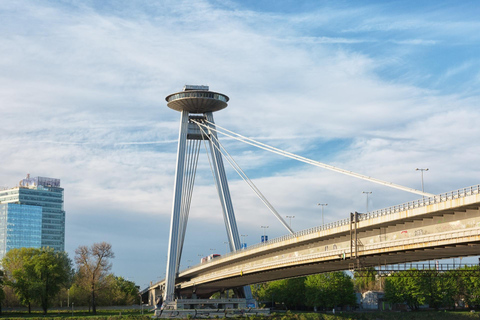 UFO Observation Deck Bratislava Private Tour with Admission