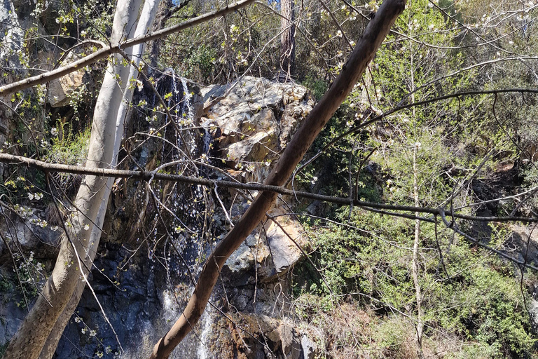 Tour privato a Troodos: cascata, villaggi e pranzo cipriotaTour privato a Troodos: cascata, villaggi e pranzo tipico cipriota