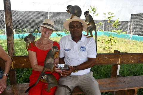 Puerto Plata: Monkey home, Damajagua Waterfalls & City Tour