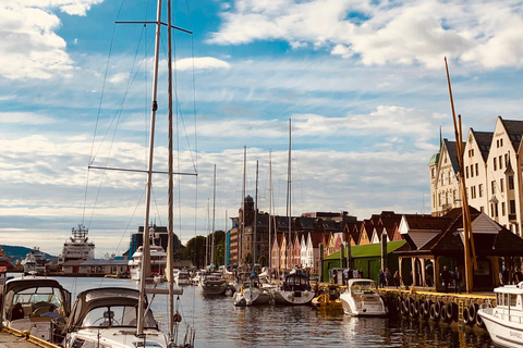 Bergen: Private Shore Excursion, Best of Bergen
