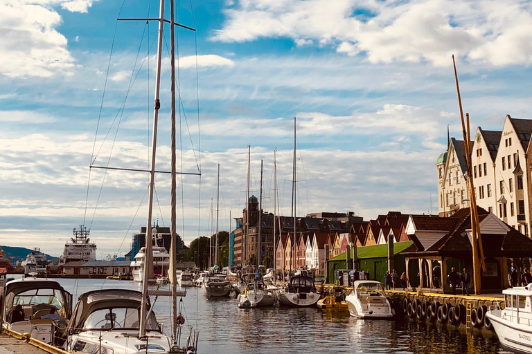 Bergen: Private Shore Excursion, Best of Bergen