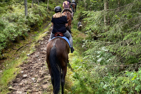 Michigan: Mackinaw State Forest Guided Horseback Ride 1.5-hour option