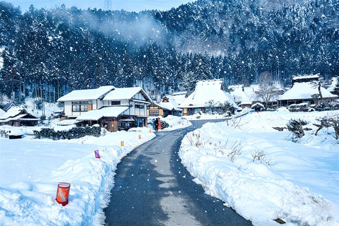 Osaka: Amanohashidate, Ine Cruise & Miyama Village From Osaka (Basic Package)