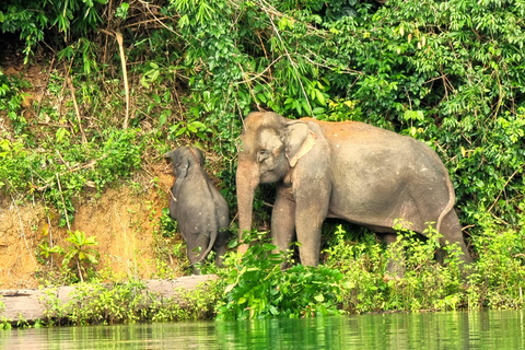 Cheow Lan See: 2-tägige geführte Tour mit Mahlzeiten und Aktivitäten