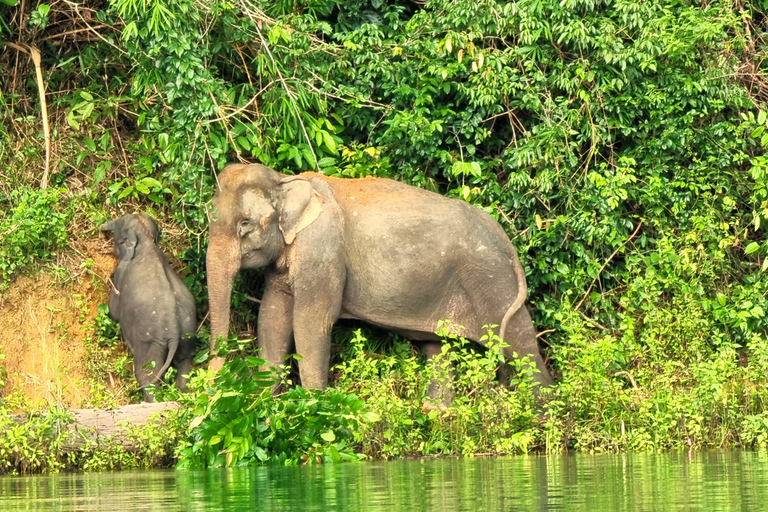 Cheow Lan See: 2-tägige geführte Tour mit Mahlzeiten und Aktivitäten