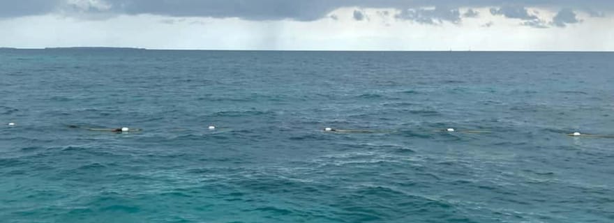 Zanzibar : promenade en mer et équitation.