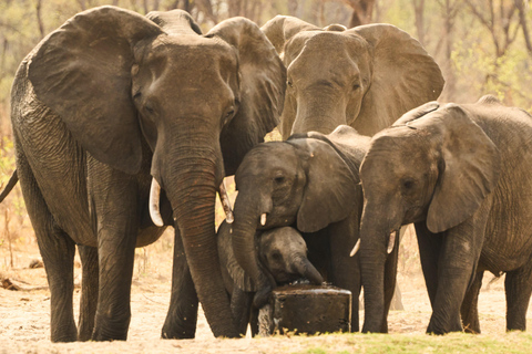 4-Day Four Countries - Zimbabwe, Zambia, Botswana & Namibia