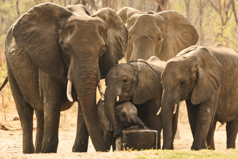 4-Day Four Countries - Zimbabwe, Zambia, Botswana & Namibia