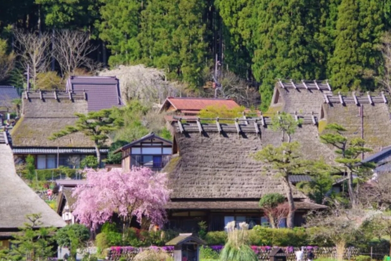 Vanuit Osaka: Miyama dorp, Ine baai & Amanohashidate tour