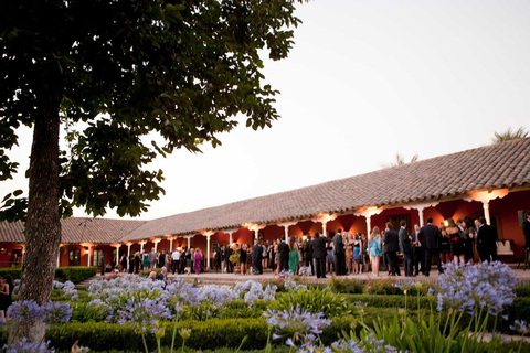 Santiago : Visite d&#039;une demi-journée des vignobles de Santa Rita