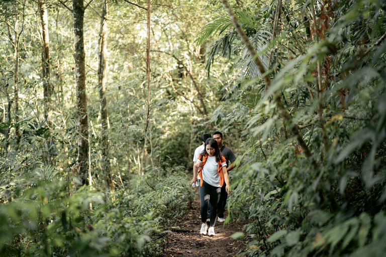 Munduk: Twin Lake Jungle Wandeling, Ulun Danu Tempel, &amp; WatervalTour met trefpunt bij Twin Lake, Munduk