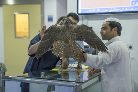 Doha: Souq Waqif Guided Tour | Falconry & Pearling in Qatar Souq Heritage & Traditional Qatar Tour with Transfers