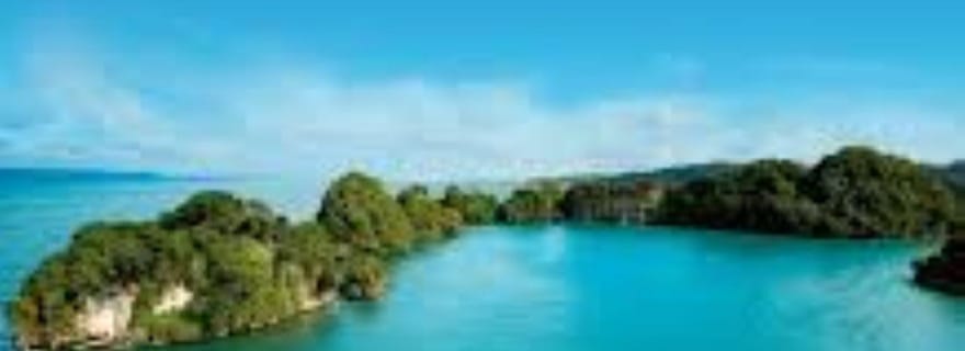 Randonnée guidée et aventure en kayak au départ de Boca Chica