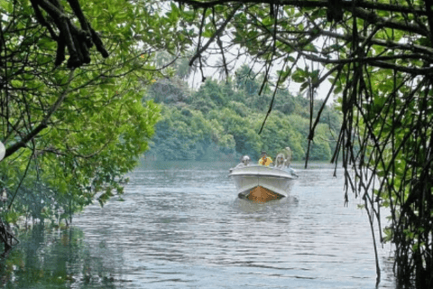 Colombo: Galle Fort, River Safari, and Coast Day Trip From Colombo, Negombo and kaluthara to Galle Fort