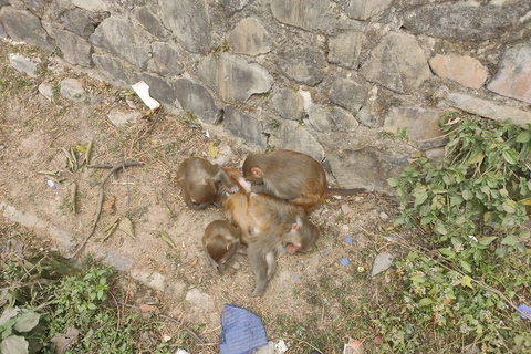 Shivapuri National Park Day Hiking from kathmandu