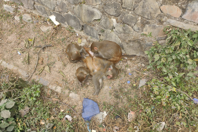 Shivapuri National Park Day Hiking from kathmandu