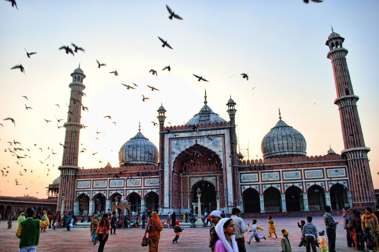 New and Old Delhi: 8-uur durende groepstour met gids