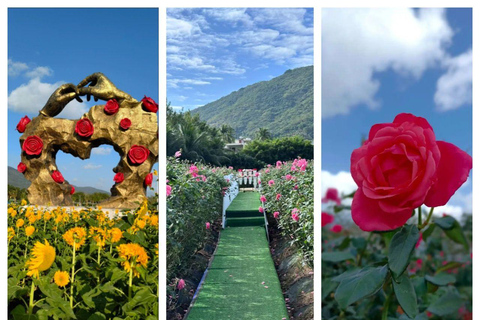 Haikou: tour in autobus di 4 giorni sull&#039;isola di Hainan con hotelHaikou: 4-Day Hainan Island Bus Tour with Hotel