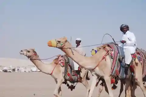 Safari privato nel deserto con visita al mare interno