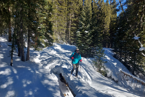 From Denver: Guided Hike to Alpine lake Guided Hike to Alpine lake