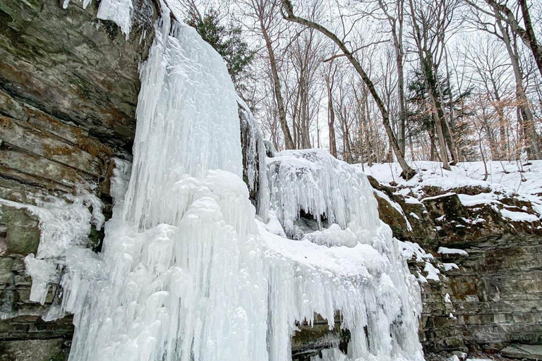 Winterwanderung zum Rattlesnake Point RV-Motorhome Tour