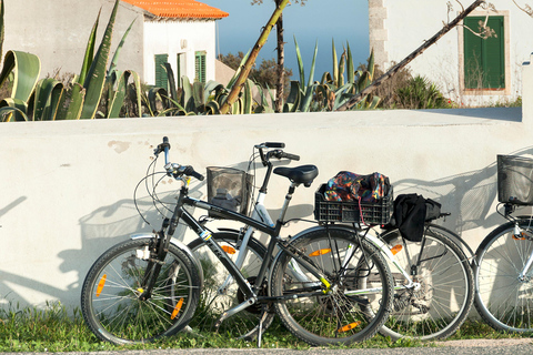 Formentera: discover our fast ferry + bike package