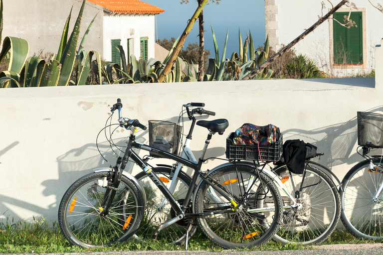 Formentera: discover our fast ferry + bike package