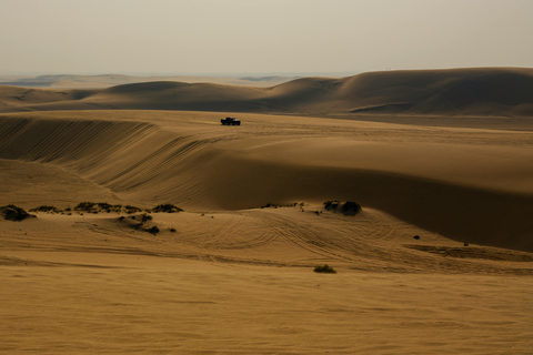 Doha: Sunset Desert Safari, Dune Bashing with dinner at Souq