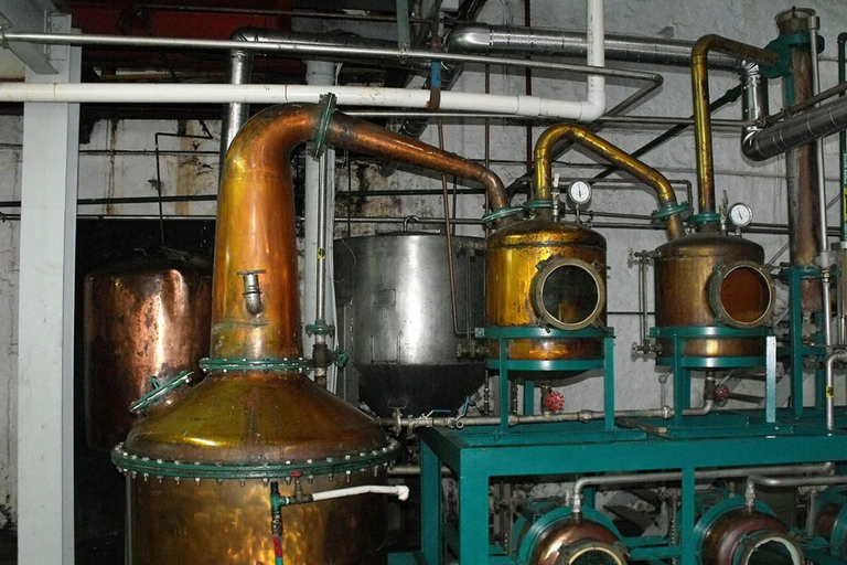 Visite privée et dégustation de rhum à Sainte-Lucie