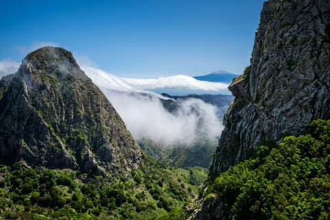 From Tenerife: La Gomera Day Trip (Romanian-speaking guide)