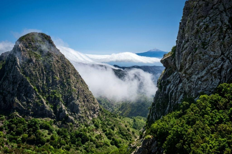 From Tenerife: La Gomera Day Trip (Romanian-speaking guide)