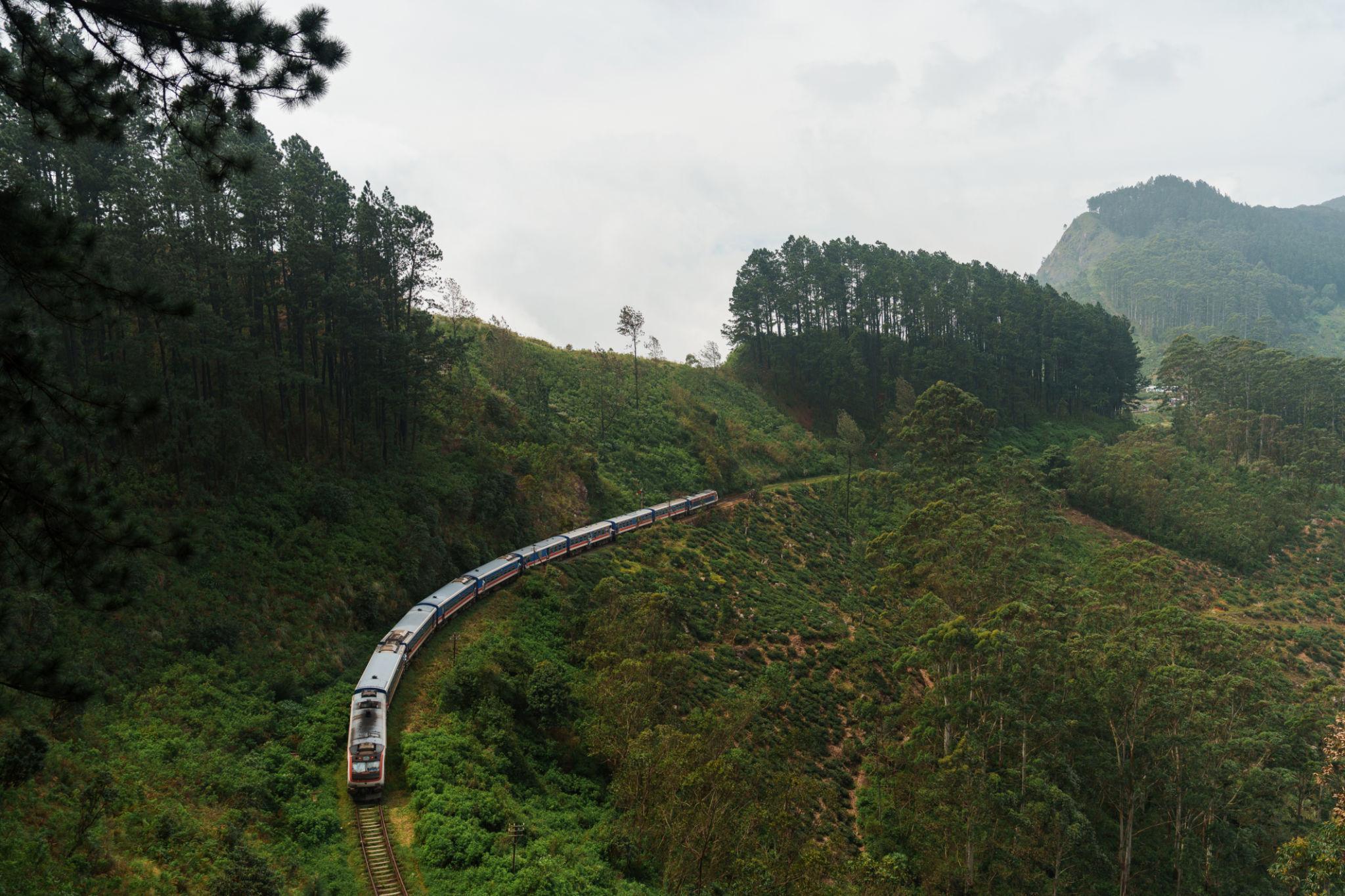 Ab Colombo: Ceylon-Tee-Erbe & Demodara-Eisenbahn-Erlebnis
