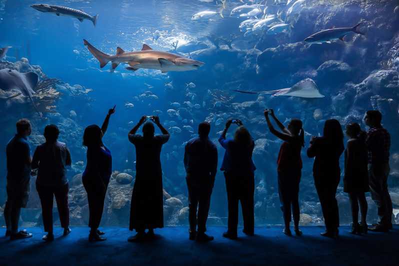 Tampa: Florida Aquarium - spring køen over ved indgangen