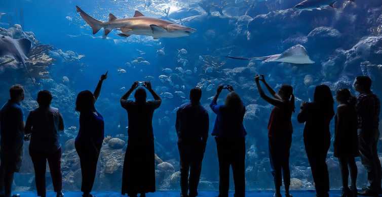 Tampa: The Florida Aquarium Ticket