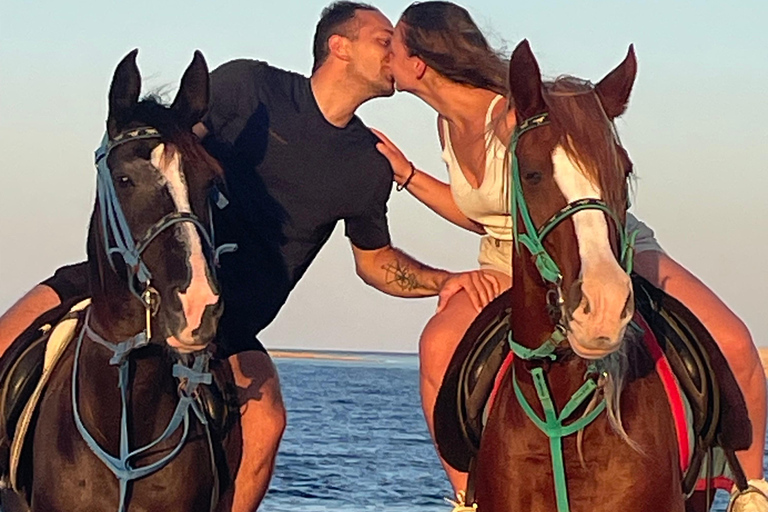 Soma Bay: Reittour mit HoteltransferSoma Bay: Reittour ohne Hoteltransfer