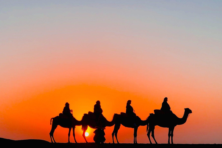 Marrakech: Cena espectáculo en el desierto de Agafay con camellos y puesta de sol