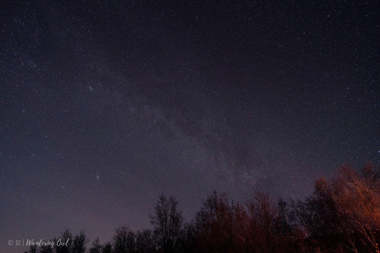 Night Star Walk on Snowshoes in the Finnish Wilderness