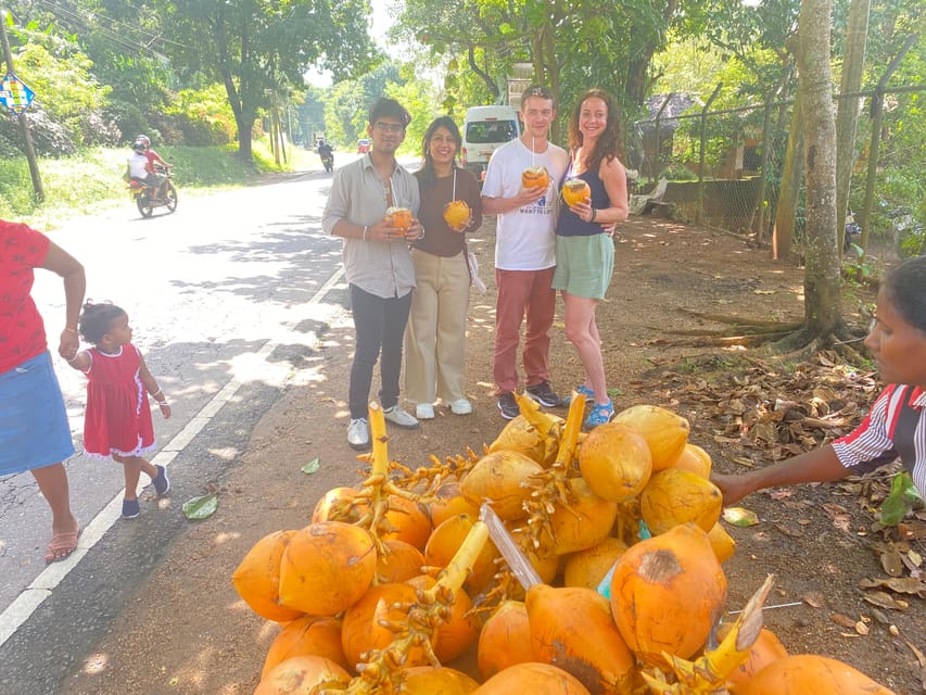 8 Daagse Rondreis Door De Prachtige Natuur Van Sri Lanka GetYourGuide