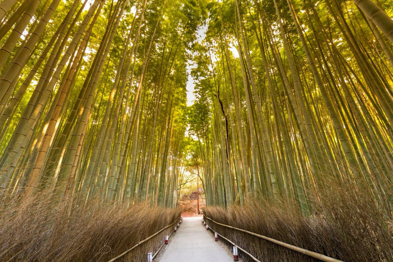 Kyoto & Nara: Private Full-Day Tour with Hotel Pickup