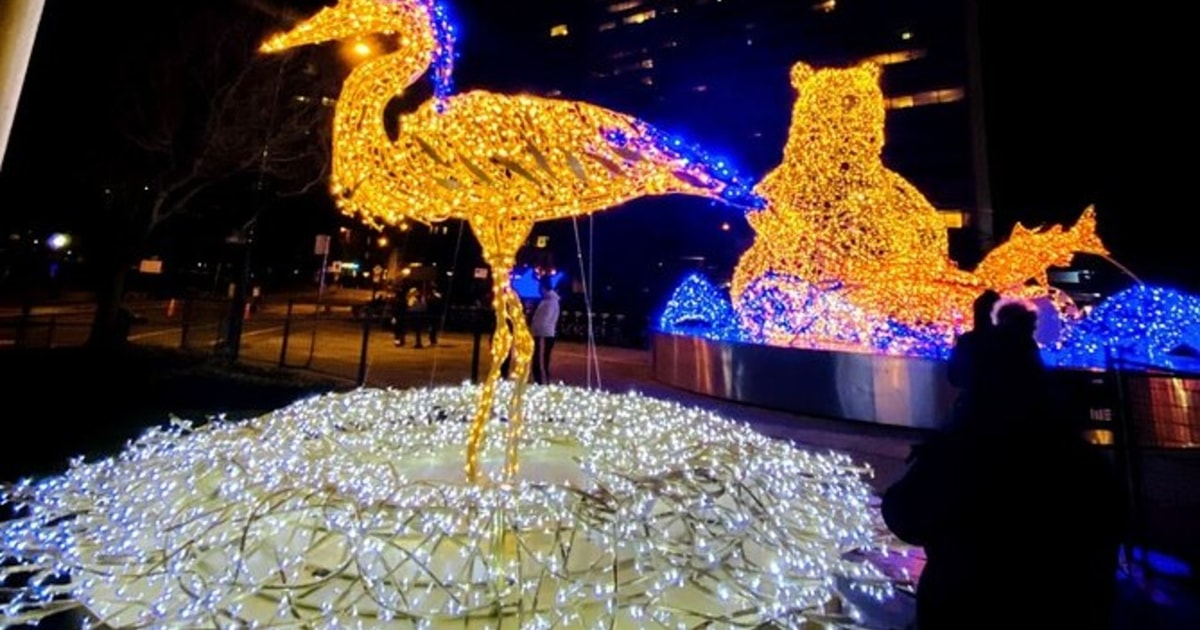 Vancouver Christmas Light Tour private GetYourGuide