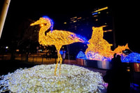 Vancouver Christmas Light Tour private - Hizvo