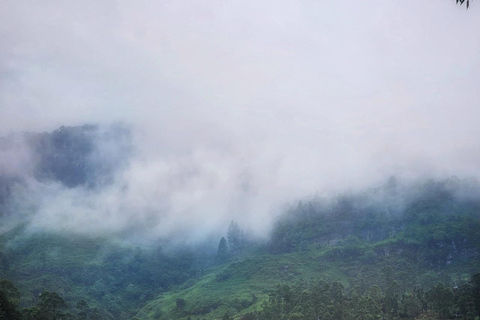 康提：兰博达瀑布和普纳瀑布，以及安布鲁瓦瓦天空塔日落康提：兰博达瀑布和普纳瀑布，以及安布卢瓦瓦天空塔日落之旅